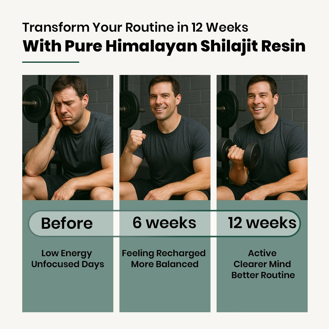 Himalyan Shilajit