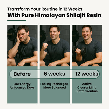 Himalyan Shilajit